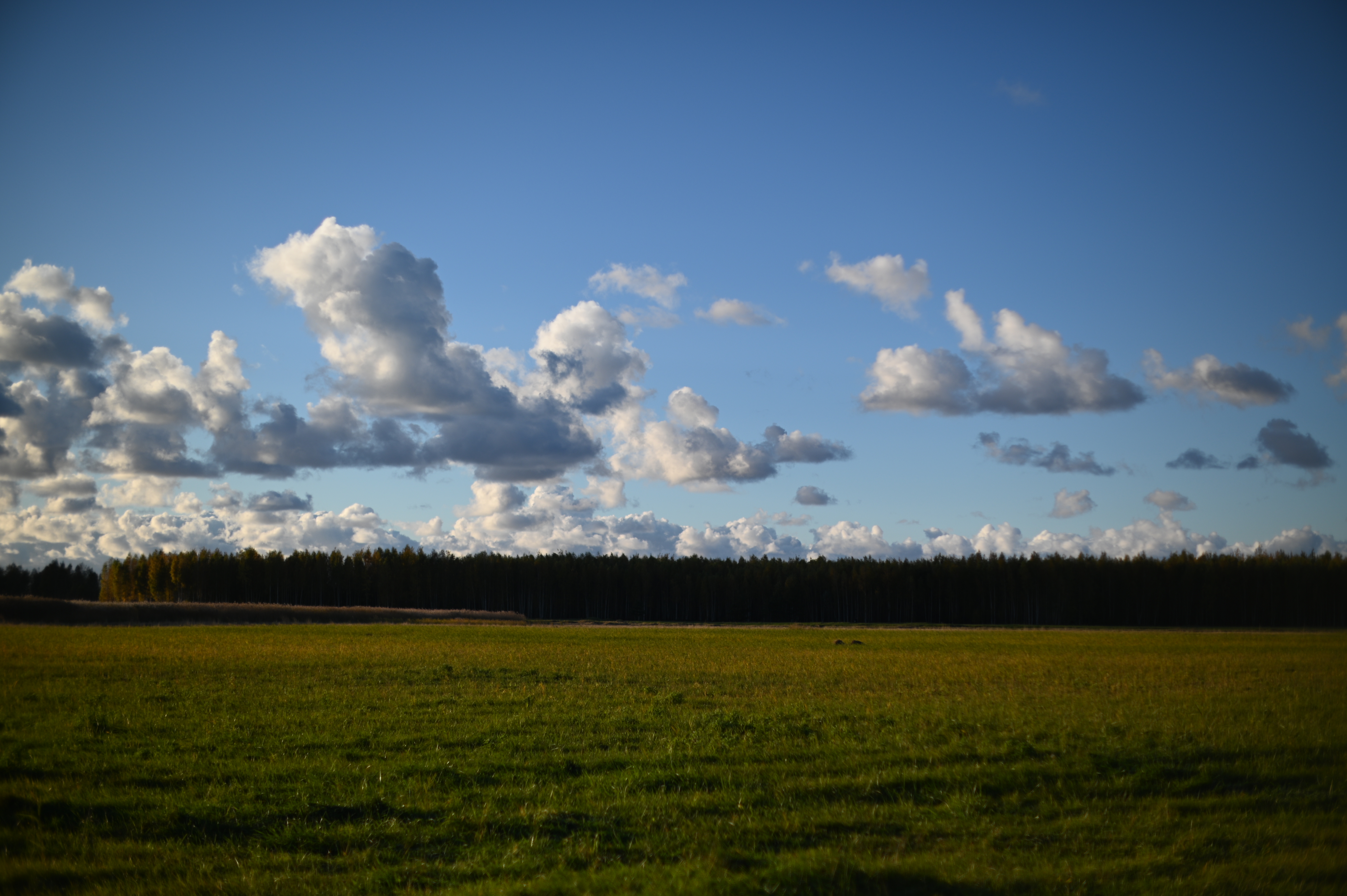 2025/10/18 - walk/DSC_0167.JPG